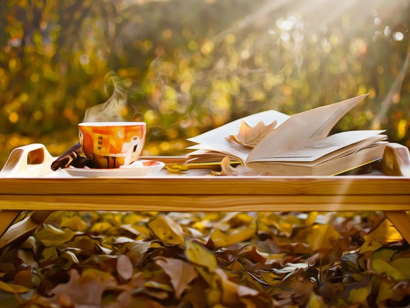 Blog in Mental Health Therapy