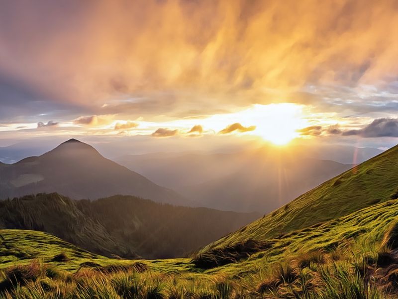 Contact in Mental Health Therapy