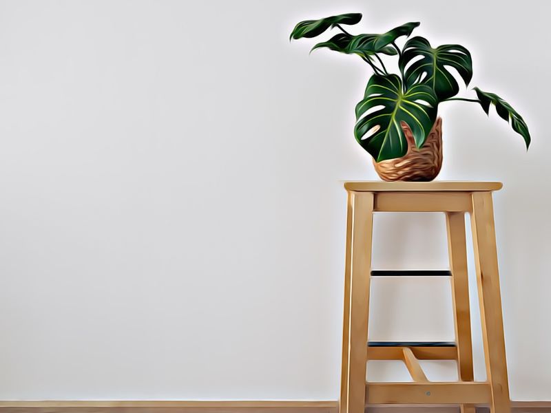 Eating Disorders and Body Image Issues for Mental Health Therapy