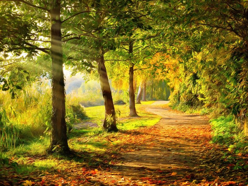 FAQs and Fees for Mental Health Therapy