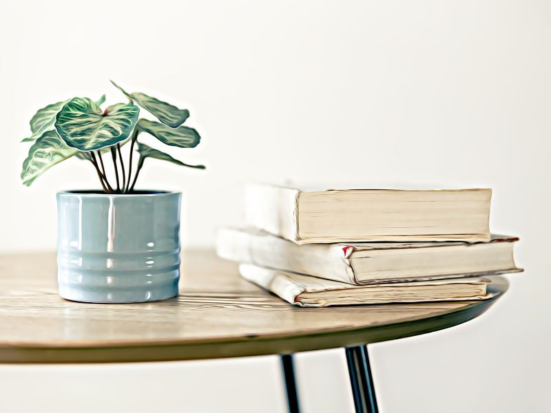 Mindfulness Practices for Mental Health Therapy