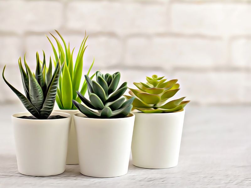 Therapy for Trauma and PTSD for Mental Health Therapy