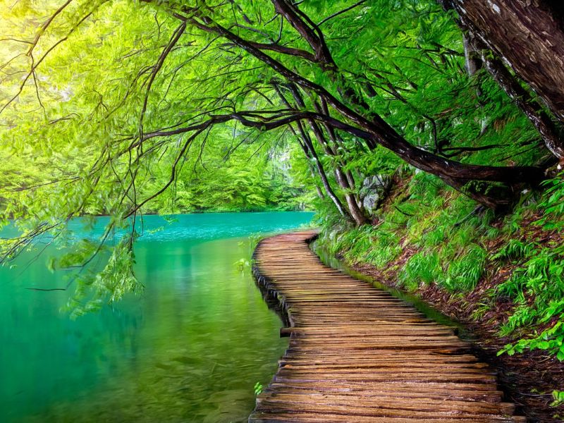 What to Expect for Mental Health Therapy